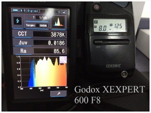 Godox_XEXPERT_600_F8_SPECTRUM