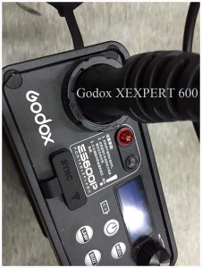 Godox_XEXPERT_600_2